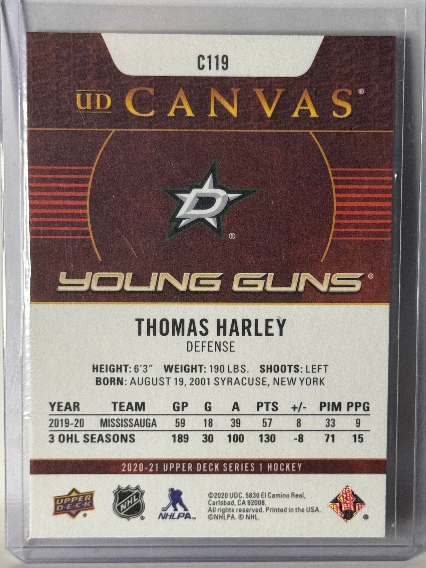 Thomas Harley Young Guns Canvas